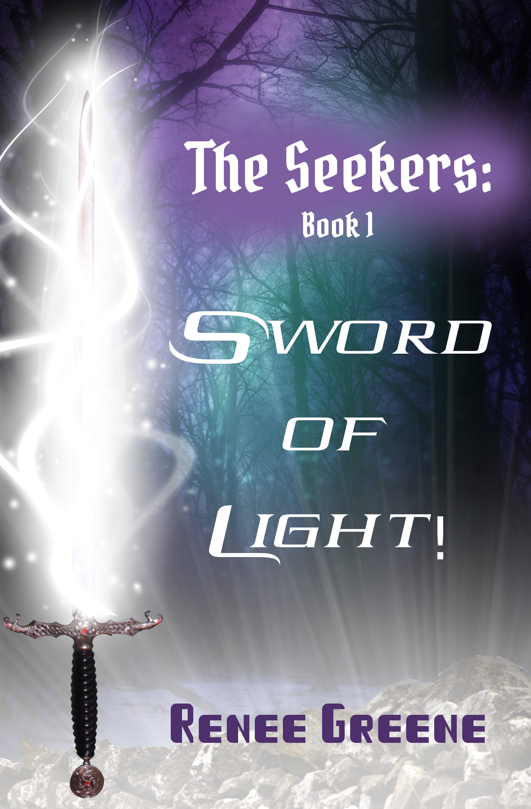 Sword of Light! The Seekers Book 1