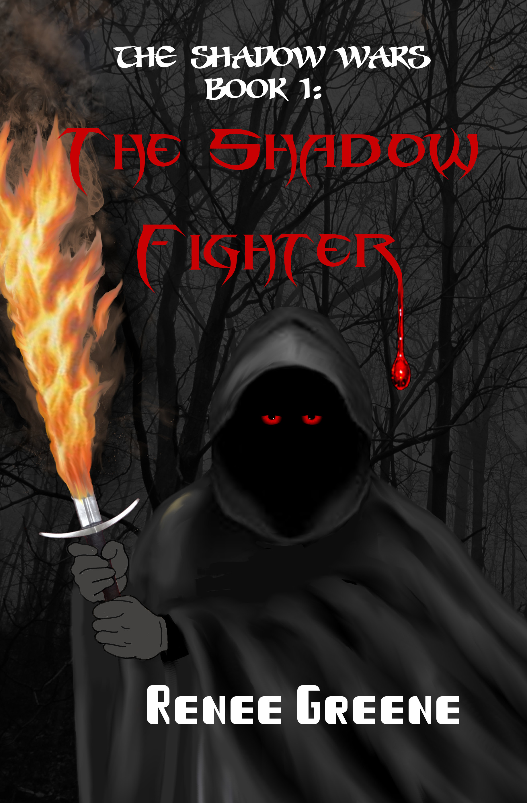 Shadow Wars Book 1: The Shadow Fighter
